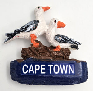 Fridge Magnet - CT