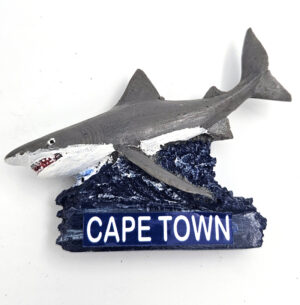 Fridge Magnet - CT